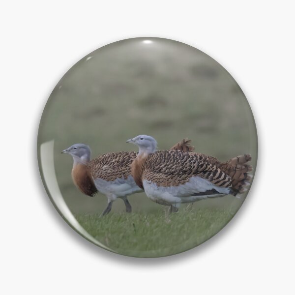 Item preview, Great Bustard designed and sold by LaurenTucker.