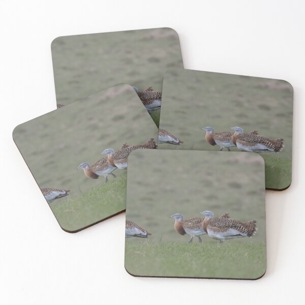 Item preview, Great Bustard designed and sold by LaurenTucker.
