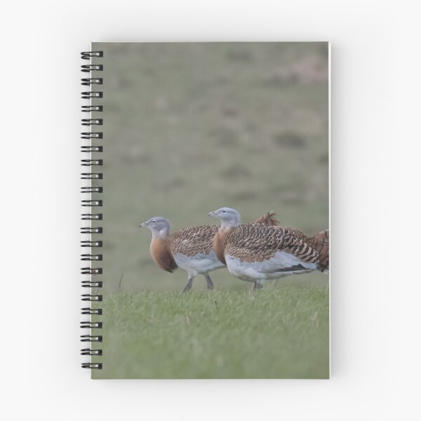 Item preview, Great Bustard designed and sold by LaurenTucker.