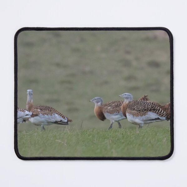 Item preview, Great Bustard designed and sold by LaurenTucker.