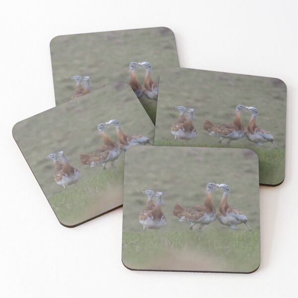 Item preview, Great Bustard designed and sold by LaurenTucker.