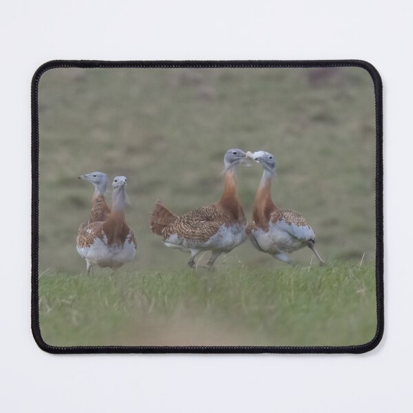 Item preview, Great Bustard designed and sold by LaurenTucker.