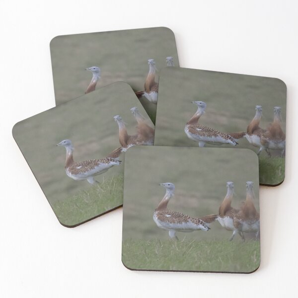 Item preview, Great Bustard designed and sold by LaurenTucker.