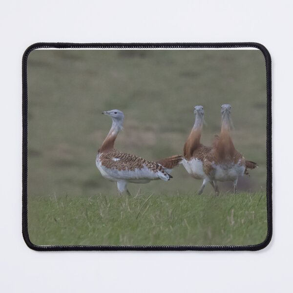 Item preview, Great Bustard designed and sold by LaurenTucker.