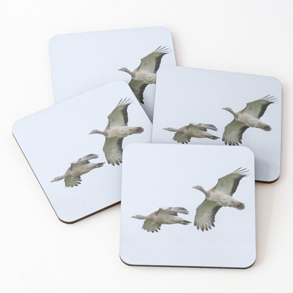 Item preview, Great Bustard designed and sold by LaurenTucker.