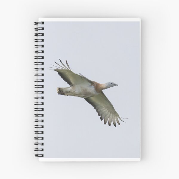 Item preview, Great Bustard designed and sold by LaurenTucker.