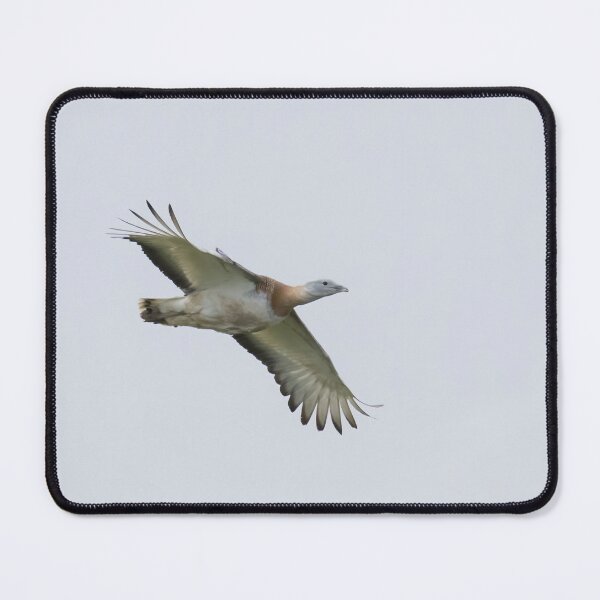 Item preview, Great Bustard designed and sold by LaurenTucker.