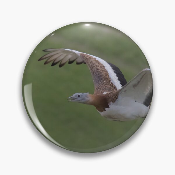 Item preview, Great Bustard designed and sold by LaurenTucker.