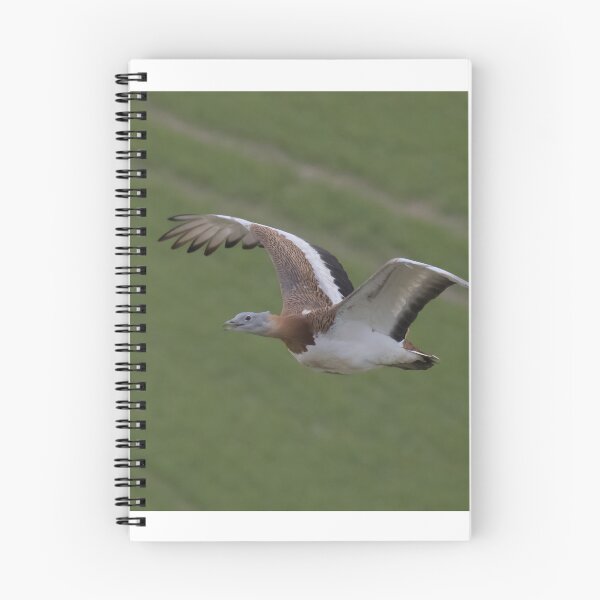 Item preview, Great Bustard designed and sold by LaurenTucker.