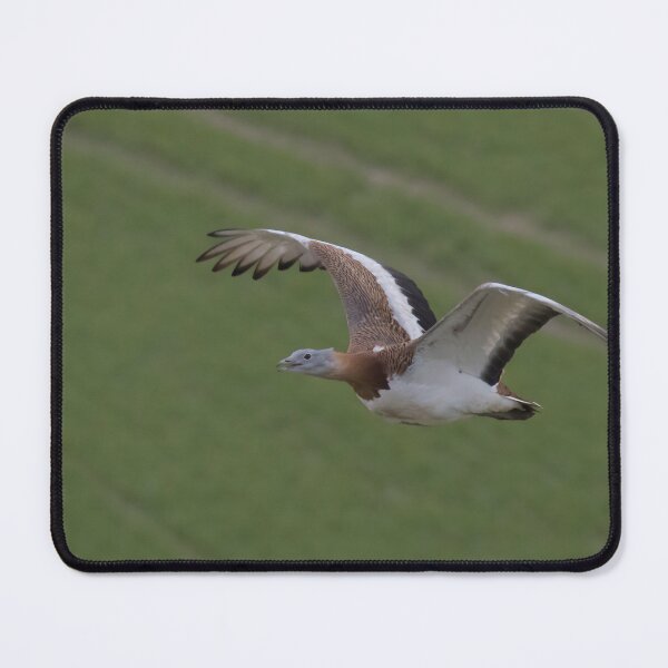 Item preview, Great Bustard designed and sold by LaurenTucker.
