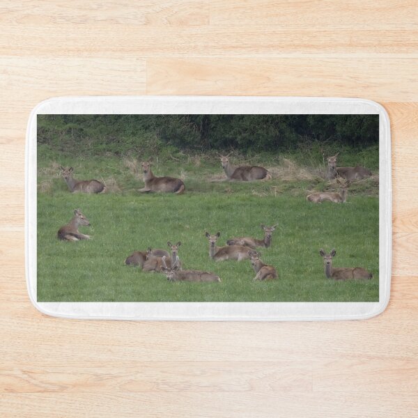 Item preview, Group of Deer designed and sold by LaurenTucker.