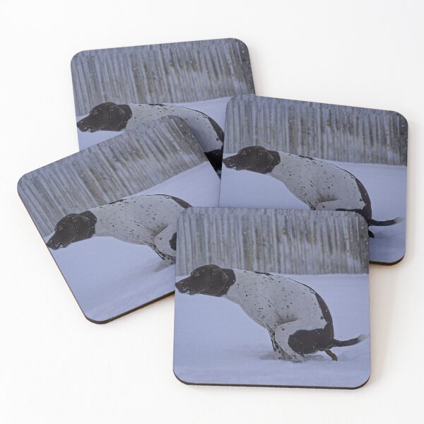 Item preview, German shorthair pooing in the snow designed and sold by Horsequeenozie.