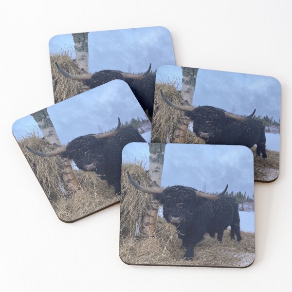 Item preview, Scottish Highland Cattle Bull 4738 designed and sold by SaarelaHighland.
