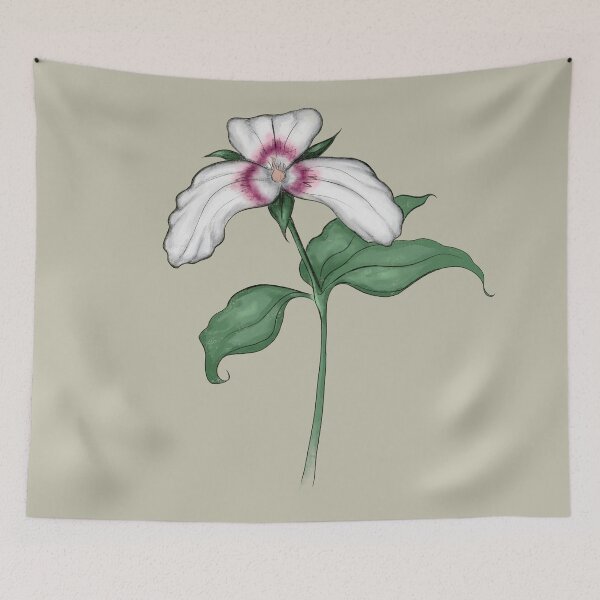 Item preview, Painted Trillium Wildflower Illustration designed and sold by itsgoodjunk.