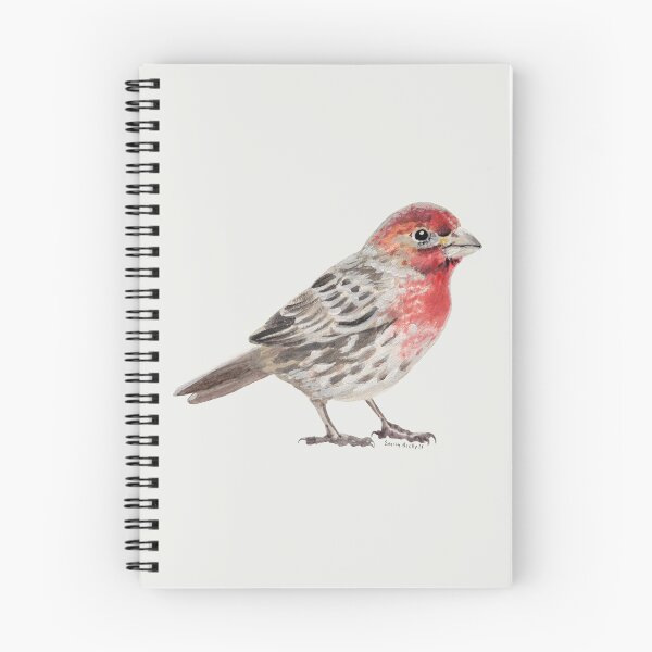 Item preview, House Finch 2 painting designed and sold by Emily Bickell.