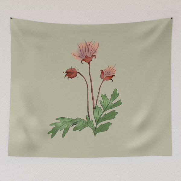 Item preview, Prairie Smoke Wildflower Illustration designed and sold by itsgoodjunk.