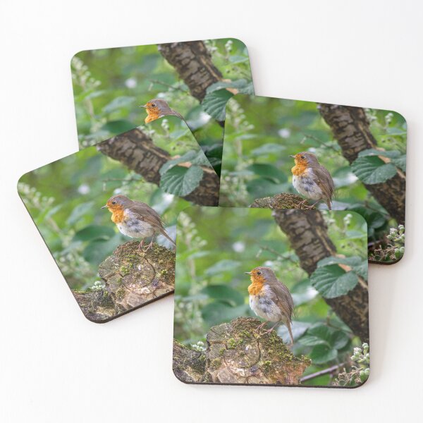 Item preview, Robin Redbreast designed and sold by DJChizzlesworth.