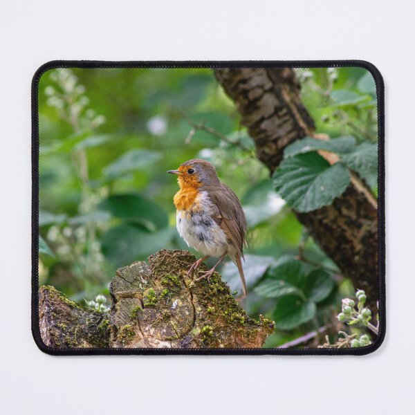 Item preview, Robin Redbreast designed and sold by DJChizzlesworth.