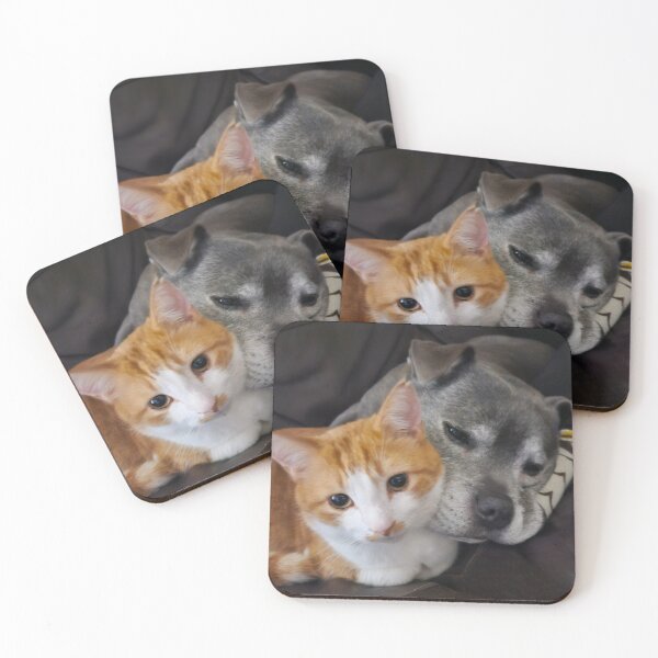 Item preview, Cat loving Staffie. designed and sold by DawnyClark.