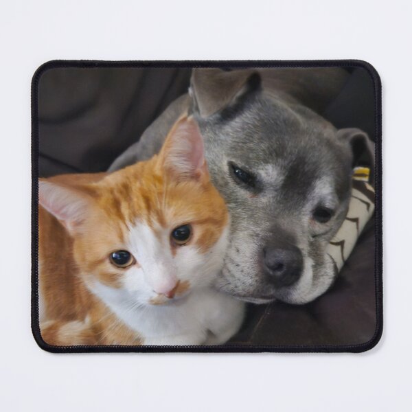 Item preview, Cat loving Staffie. designed and sold by DawnyClark.