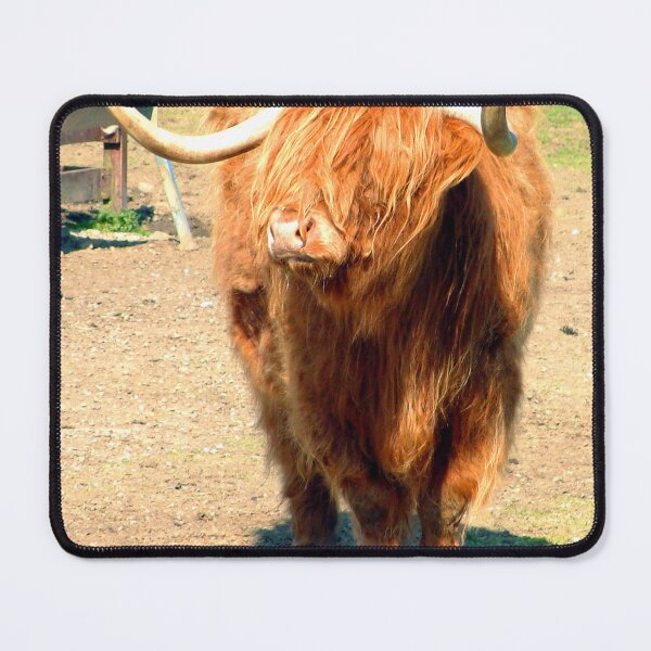 Item preview, Heilan Coo II designed and sold by tomg.