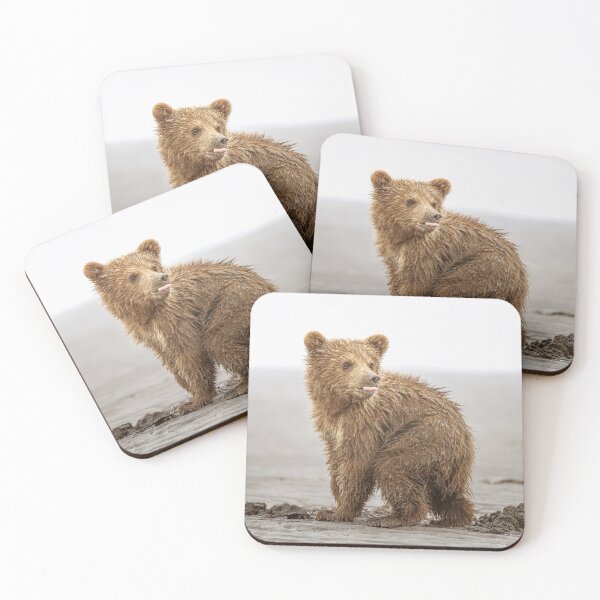Item preview, Brown Bear Cub Learning to Clam Alaska designed and sold by PhotoArt by Joan Carroll.