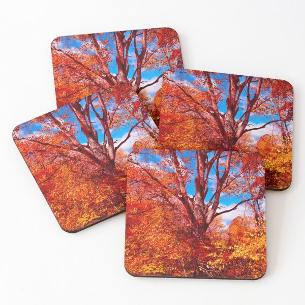 Item preview, Bright Bold Brilliance designed and sold by Jim Love.