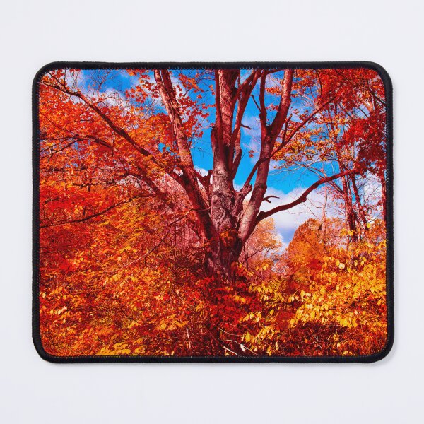 Item preview, Bright Bold Brilliance designed and sold by Jim Love.