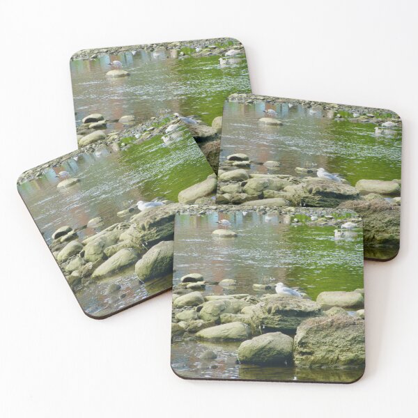 Item preview, birds, rocks,  designed and sold by Shulie1.