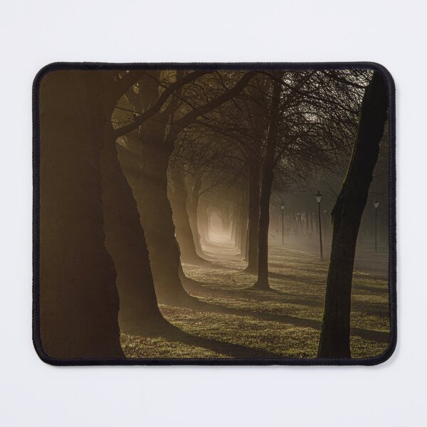 Item preview, Early morning in Sefton Park designed and sold by Paul Madden.