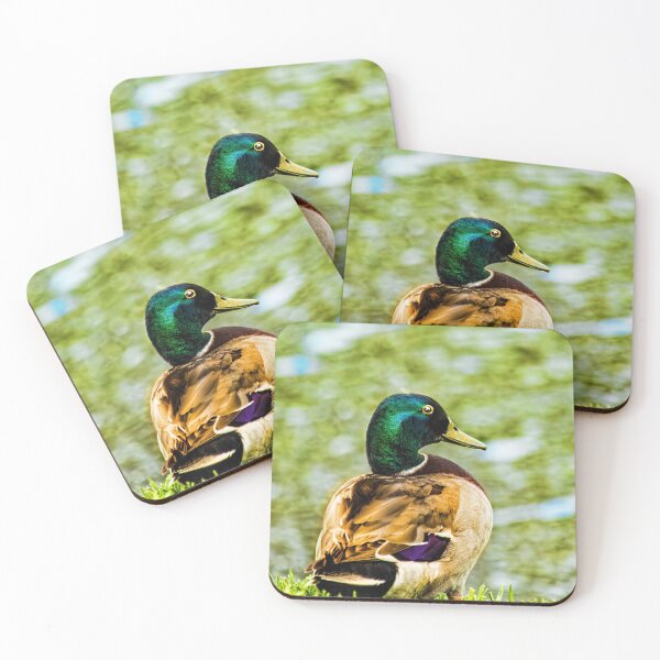 Item preview, Male Mallard Bokeh designed and sold by Kay Brewer.