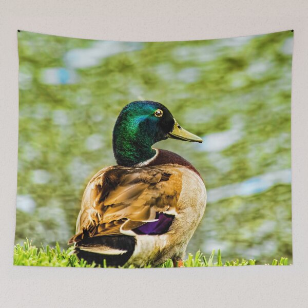 Item preview, Male Mallard Bokeh designed and sold by Kay Brewer.