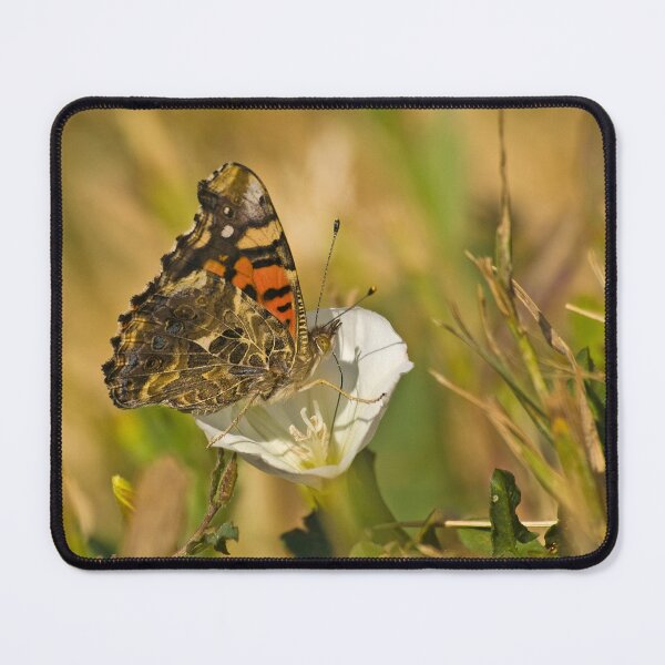 Item preview, Lunch for the Lady designed and sold by alanathrower.