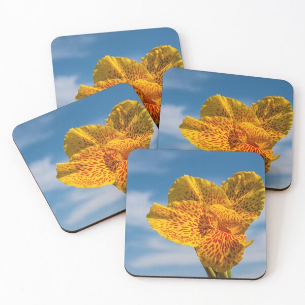 Item preview, Nothing but blue skies from now on designed and sold by Art in Nature.