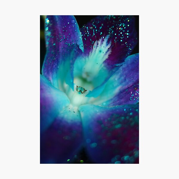 Item preview, BLUE SINGAPORE ORCHID designed and sold by annie curry.