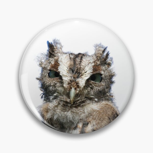 Item preview, Baby Screech Owl designed and sold by locustgirl.