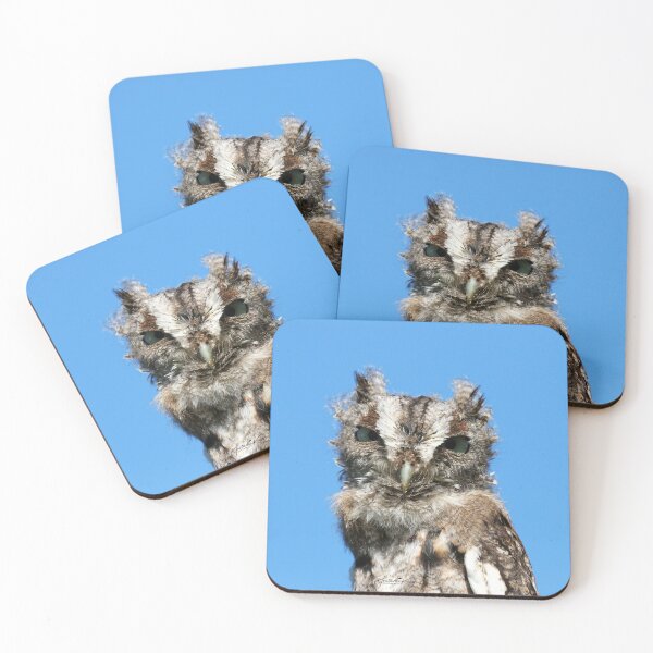 Item preview, Baby Screech Owl designed and sold by locustgirl.
