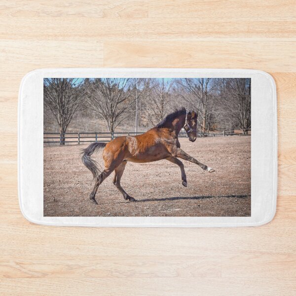 Item preview, Mousey having fun in his new paddock designed and sold by theartsyeq.