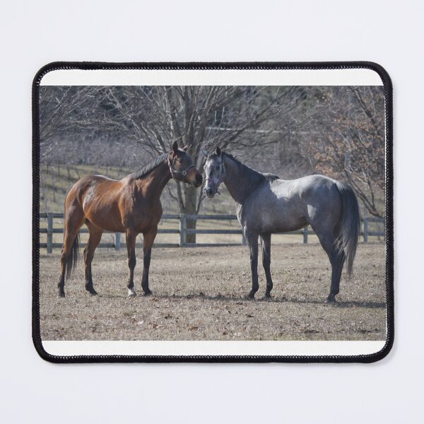Item preview, Horse love designed and sold by theartsyeq.
