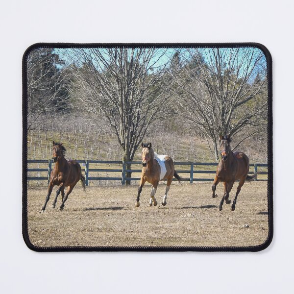 Item preview, The gelding field  designed and sold by theartsyeq.