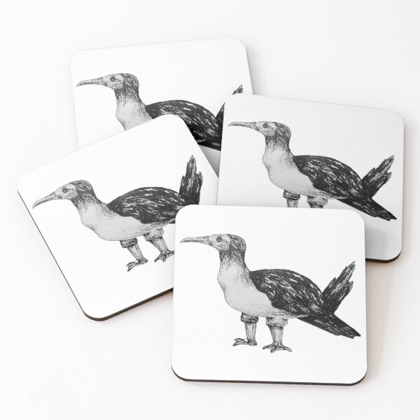 Item preview, Blue footed boobie designed and sold by Aubree Parkinson.