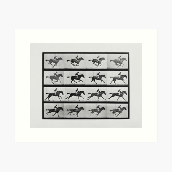 Item preview, Animal Locomotion - 16 Frames Of Racehorse Annie G.  designed and sold by warishellstore.