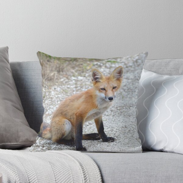 Artikelvorschau, Wilder Fuchs 4 entworfen und verkauft von Nature's Reflections.