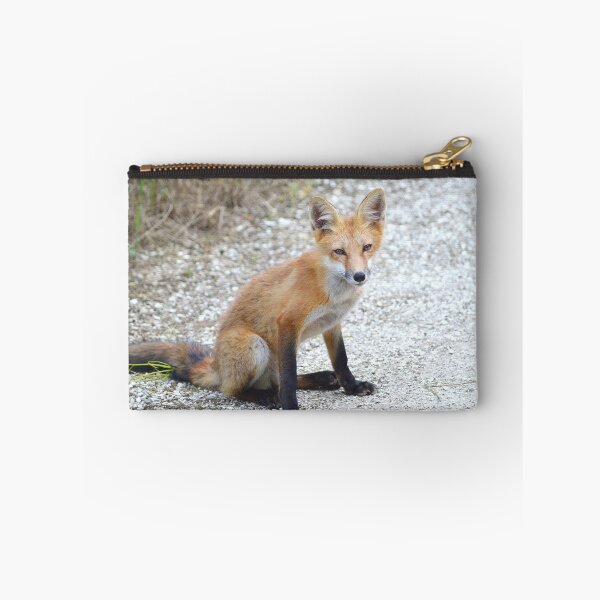 Artikelvorschau, Wilder Fuchs 4 entworfen und verkauft von Nature's Reflections.
