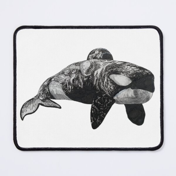 Item preview, Orca designed and sold by Aubree Parkinson.
