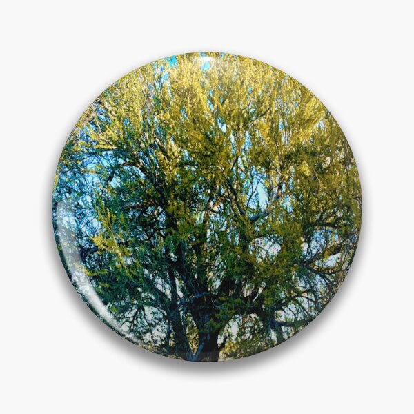 Artikelvorschau, Der Riesenbaum von Arizona entworfen und verkauft von MudmanExpress.