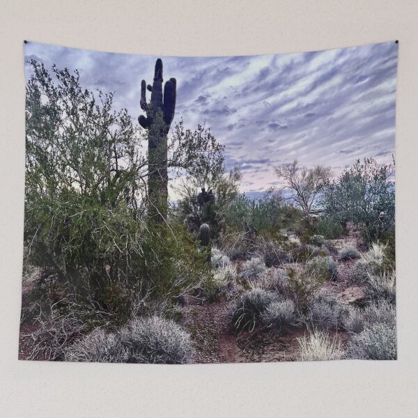 Item preview, Southwestern Sunrise and Desert Sky designed and sold by MudmanExpress.
