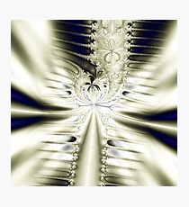 satin elegance Photographic Print