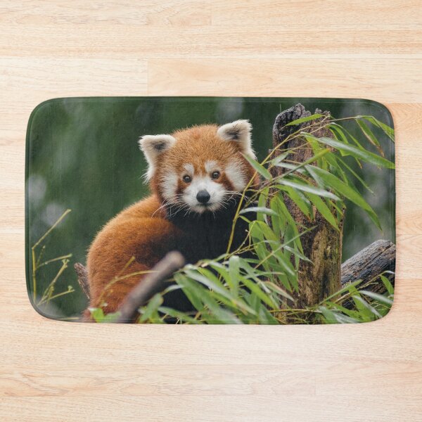 Artikelvorschau, Roter Panda entworfen und verkauft von TheAnimalZ00.