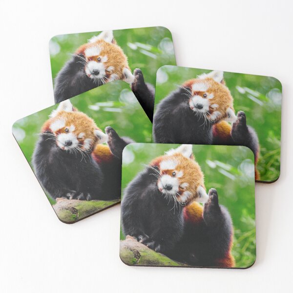 Artikelvorschau, Niedliches Foto des Roten Pandas entworfen und verkauft von TheAnimalZ00.